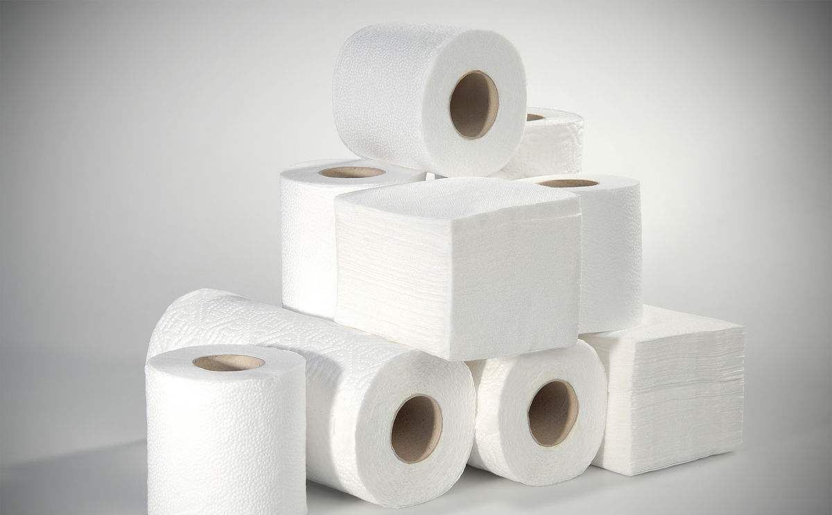 Essity выпускает на немецкий рынок первую туалетную бумагу из пшеничной соломы